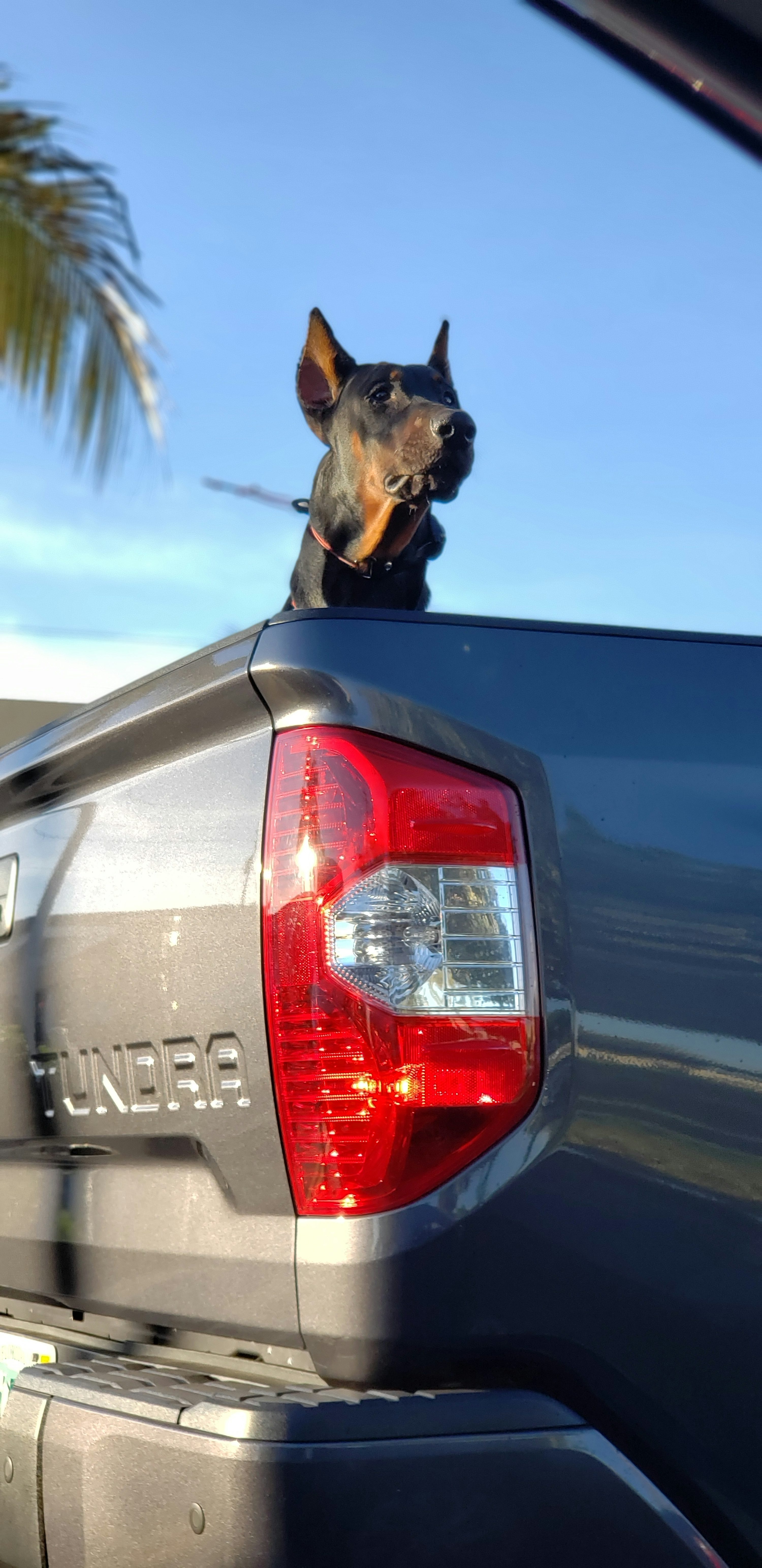 alarm installation system