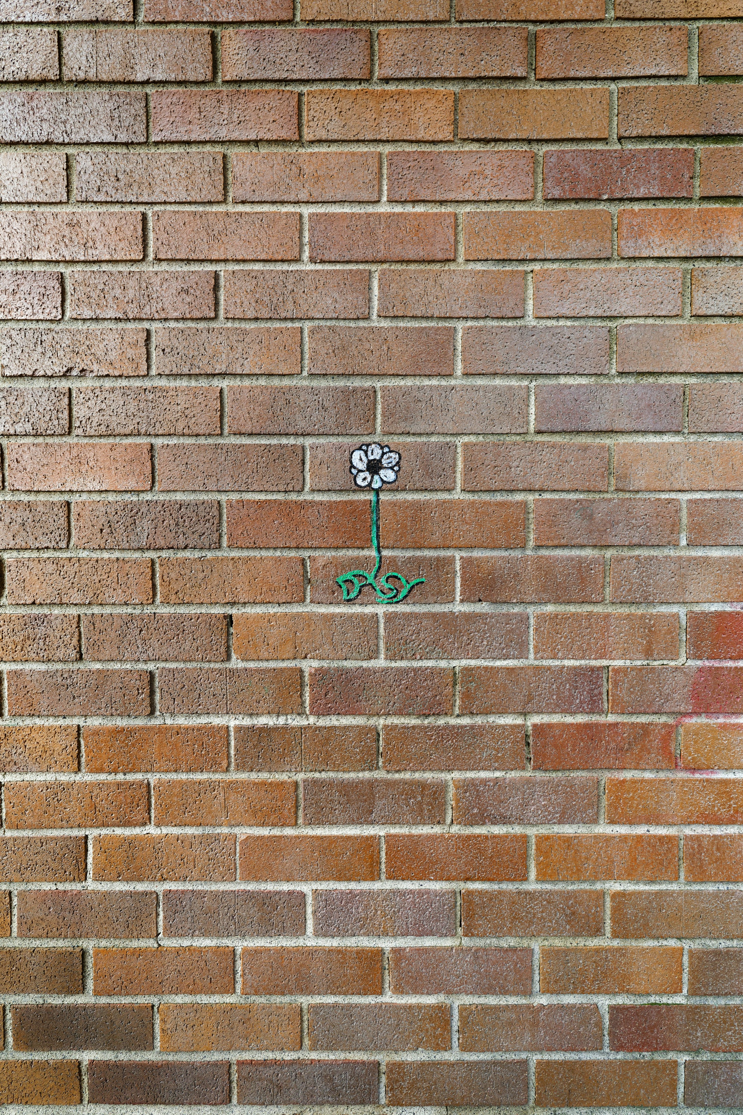 alarm installation glasgow
